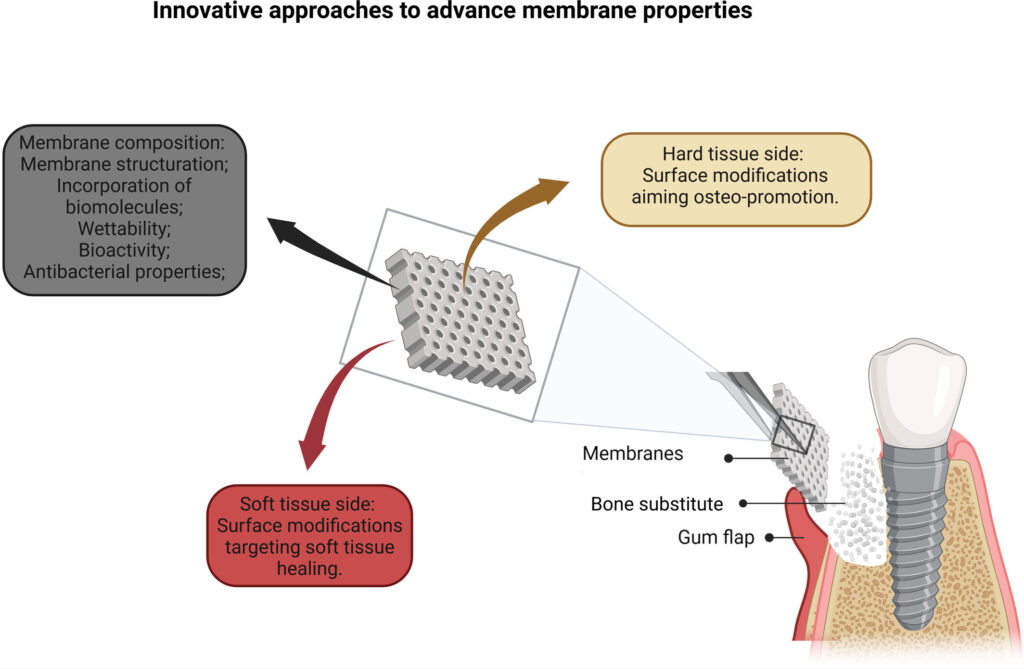 Membrane Resorbabile Neresorbabile Gbr 3